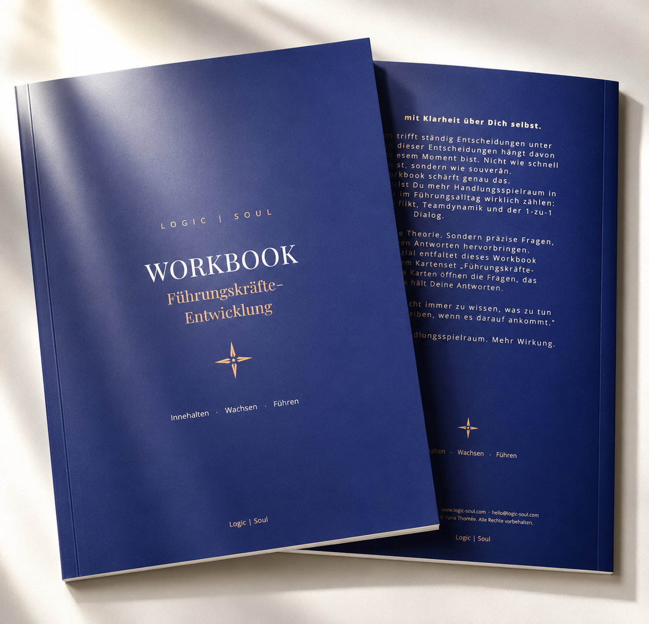 Führungskräfte-Workbook — SystemAlchemie®
