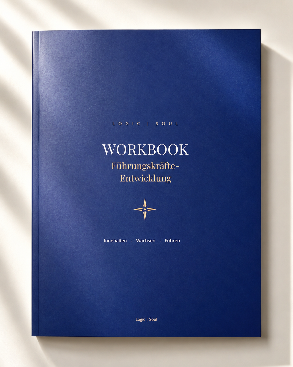 Führungskräfte-Workbook — SystemAlchemie®